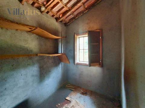 Moradia com terreno em Tomar — 13.800 m² e pomar