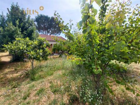 Moradia com terreno em Tomar — 13.800 m² e pomar