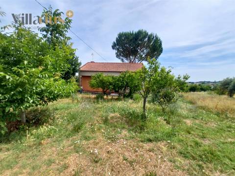 Moradia com terreno em Tomar — 13.800 m² e pomar