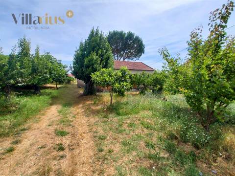 Moradia com terreno em Tomar — 13.800 m² e pomar