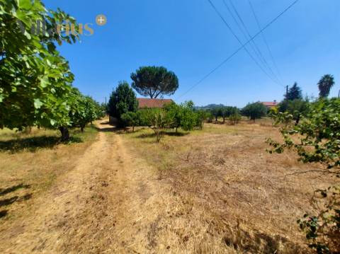Moradia com terreno em Tomar — 13.800 m² e pomar