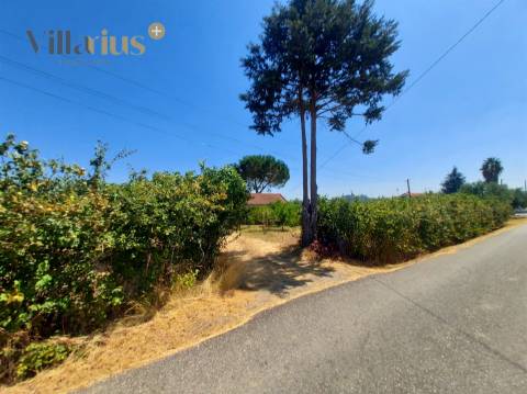 Moradia com terreno em Tomar — 13.800 m² e pomar