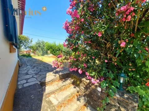 Moradia térrea T3 com piscina, sauna e jardim a 7 km de Tomar