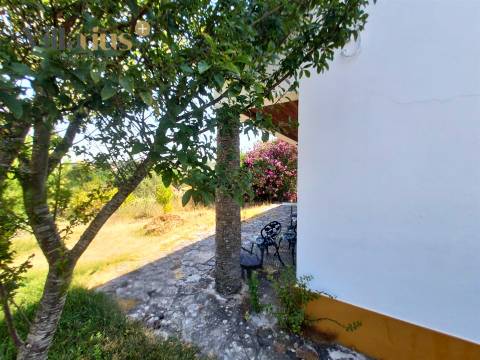 Moradia térrea T3 com piscina, sauna e jardim a 7 km de Tomar