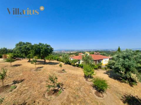 Moradia térrea T3 com piscina, sauna e jardim a 7 km de Tomar