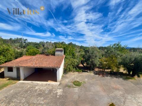 Moradia T3+1 à Venda em Tomar – Espaço e Natureza