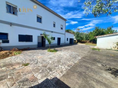 Moradia T3+1 à Venda em Tomar – Espaço e Natureza