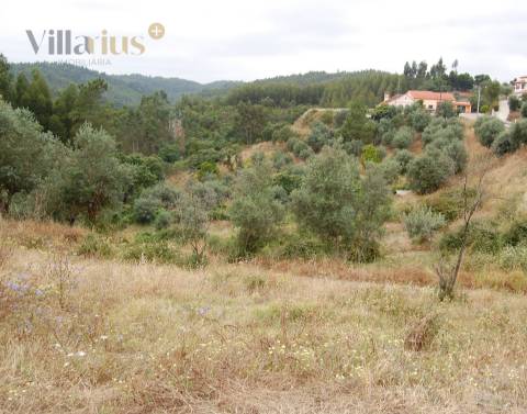 Terreno com viabilidade de construção a 3 min. da praia fluvial