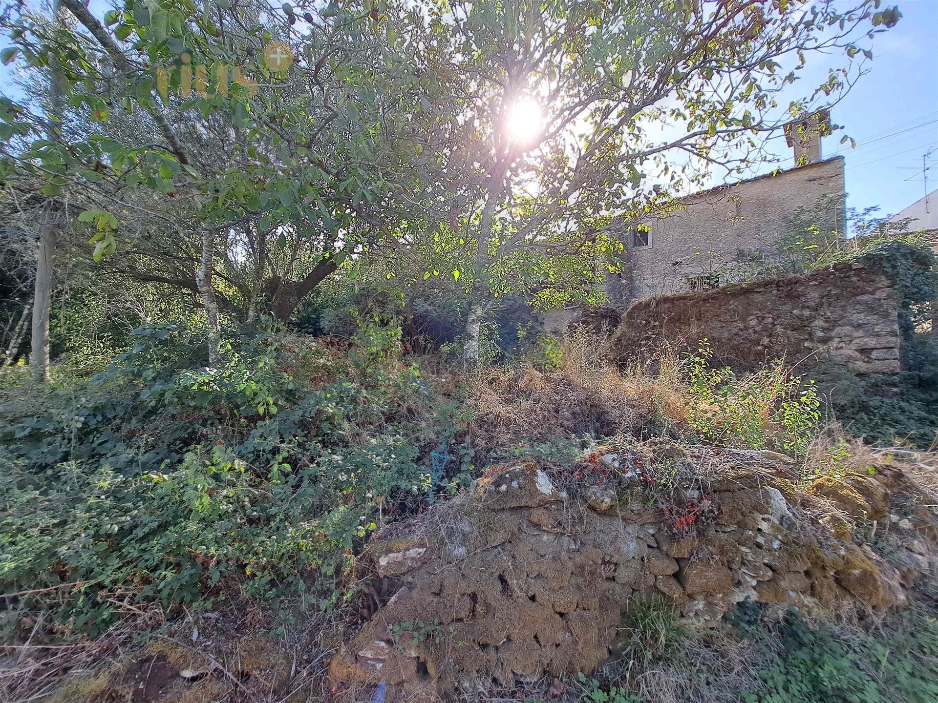 Moradia em Pedra T4 para Recuperar – Casais e Alviobeira, Tomar