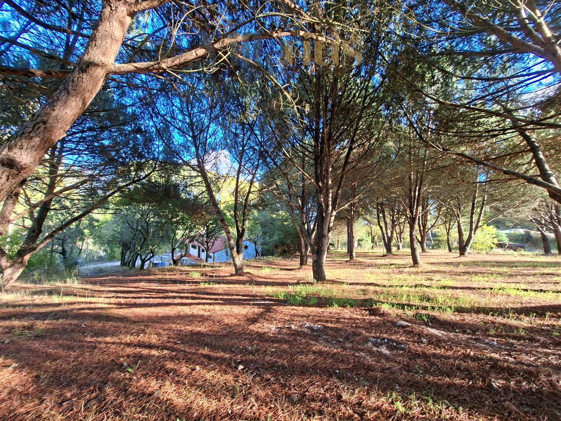 Moradia Térrea com Terreno Extenso a 3 min de Alverangel