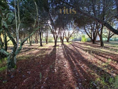 Moradia Térrea com Terreno Extenso a 3 min de Alverangel