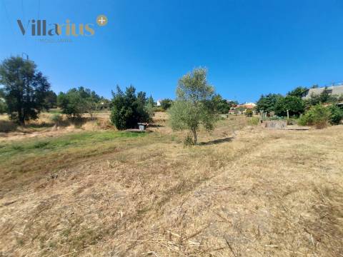 Moradia T3 com Terreno em Tomar | 18.760 m²