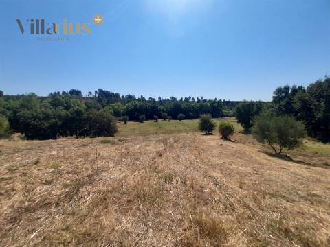 Moradia T3 com Terreno em Tomar | 18.760 m²