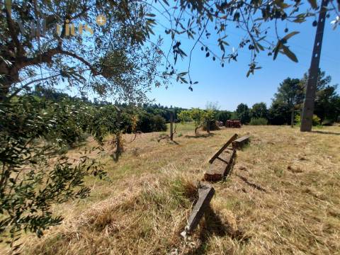 Moradia T3 com Terreno em Tomar | 18.760 m²