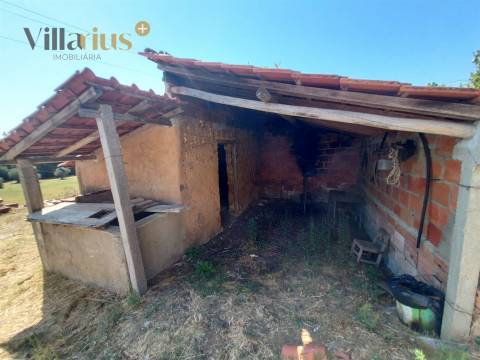 Moradia T3 com Terreno em Tomar | 18.760 m²