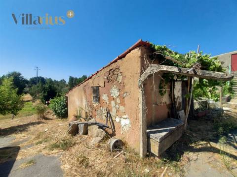 Moradia T3 com Terreno em Tomar | 18.760 m²