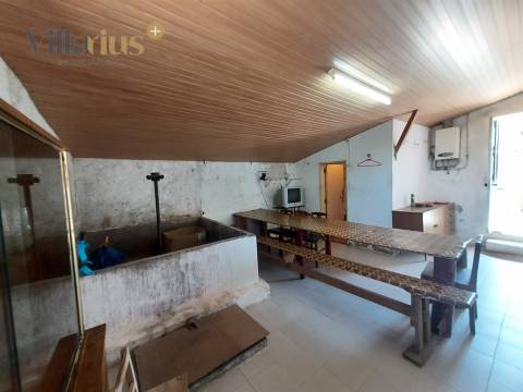 Moradia T3 com Terreno em Tomar | 18.760 m²