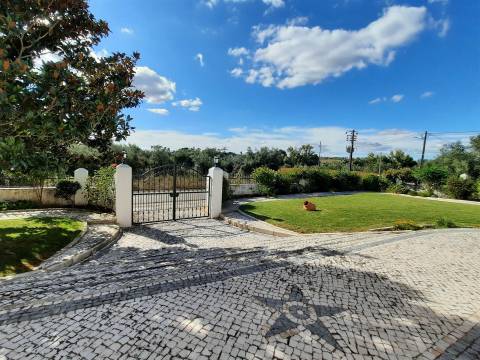 Moradia Térrea com Piscina e Terreno em São Pedro de Tomar | Villarius