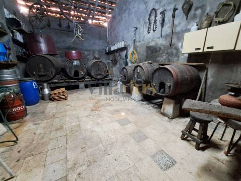 Moradia Térrea T4 com Adega, Tertúlia e 7.520 m² de Natureza — Ferreira do Zêzere