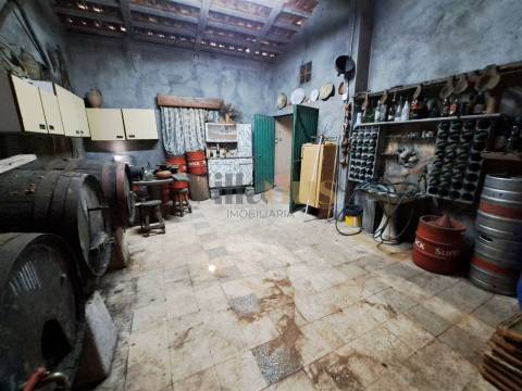 Moradia Térrea T4 com Adega, Tertúlia e 7.520 m² de Natureza — Ferreira do Zêzere