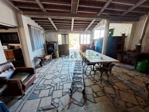 Moradia Térrea T4 com Adega, Tertúlia e 7.520 m² de Natureza — Ferreira do Zêzere