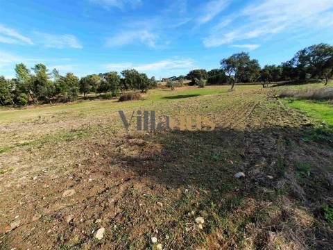 Terreno com 15.100 m², Moradia em Ruína e Viabilidade para Segunda Construção — A 5 min de Tomar