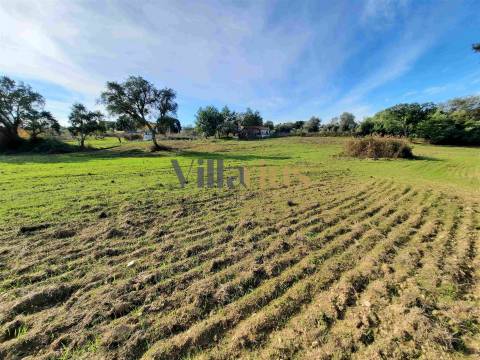 Terreno com 15.100 m², Moradia em Ruína e Viabilidade para Segunda Construção — A 5 min de Tomar