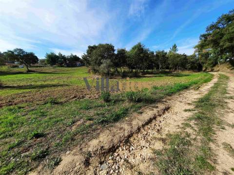 Terreno com 15.100 m², Moradia em Ruína e Viabilidade para Segunda Construção — A 5 min de Tomar