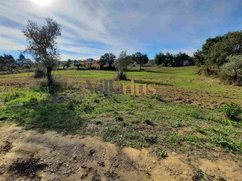 Terreno com 15.100 m², Moradia em Ruína e Viabilidade para Segunda Construção — A 5 min de Tomar