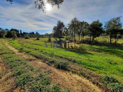 Terreno com 15.100 m², Moradia em Ruína e Viabilidade para Segunda Construção — A 5 min de Tomar