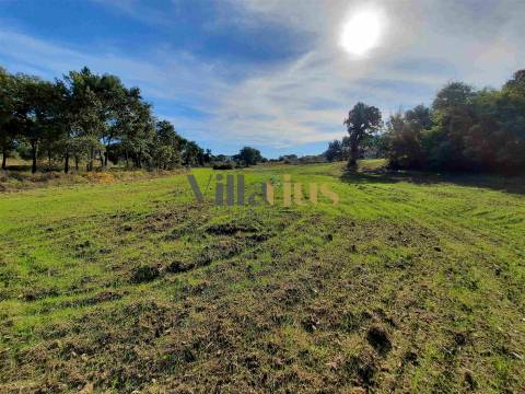 Terreno com 15.100 m², Moradia em Ruína e Viabilidade para Segunda Construção — A 5 min de Tomar