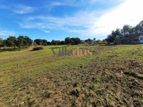 Terreno com 15.100 m², Moradia em Ruína e Viabilidade para Segunda Construção — A 5 min de Tomar