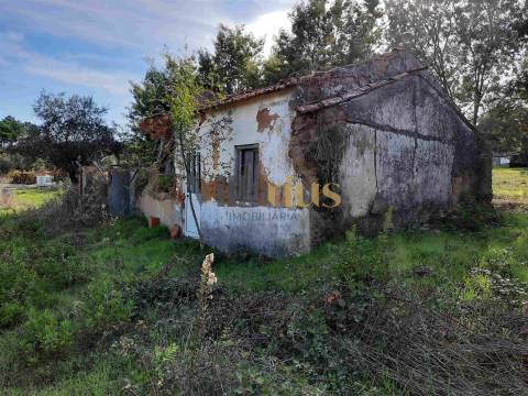 Terreno com 15.100 m², Moradia em Ruína e Viabilidade para Segunda Construção — A 5 min de Tomar