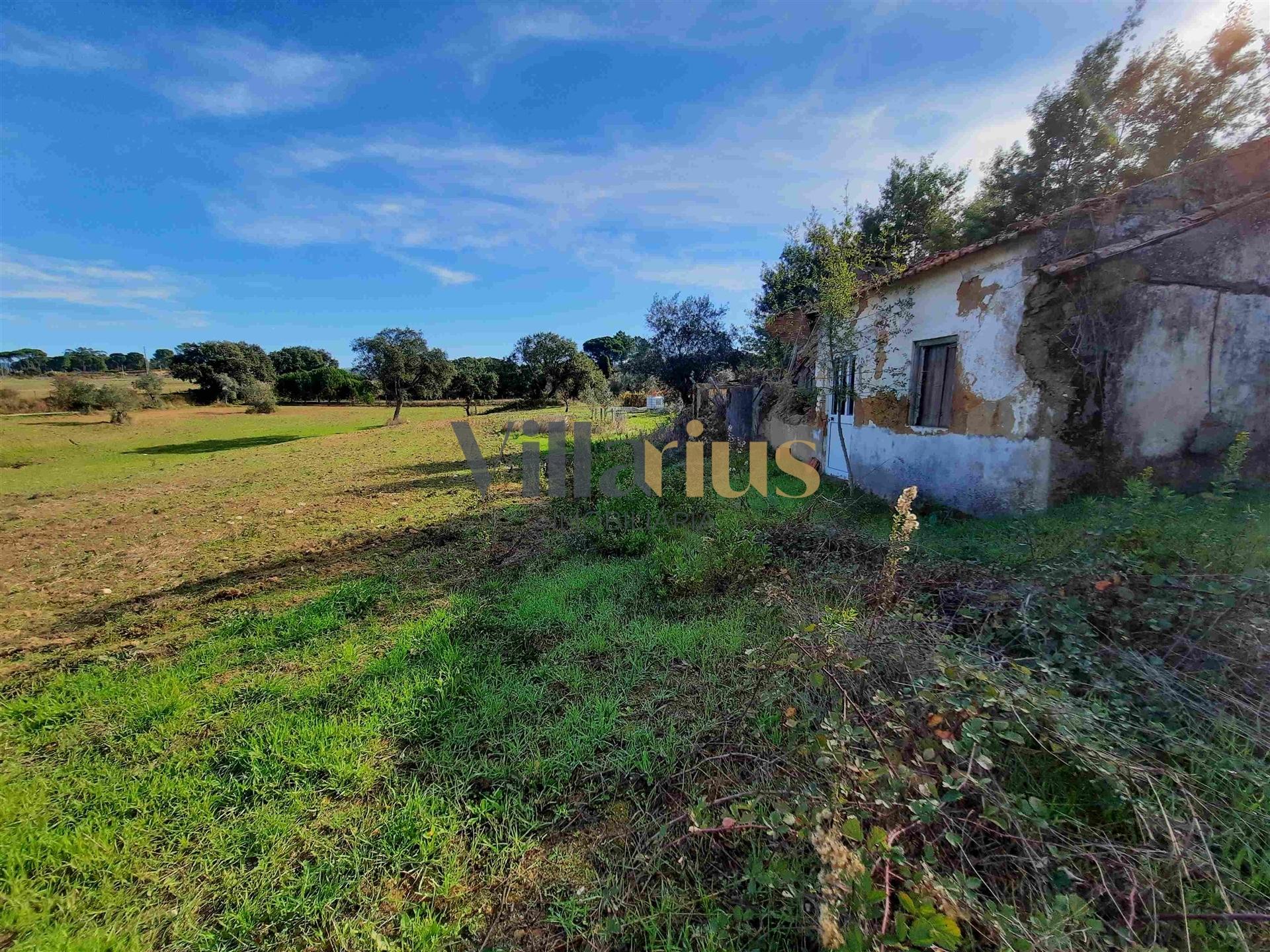 Terreno com 15.100 m², Moradia em Ruína e Viabilidade para Segunda Construção — A 5 min de Tomar