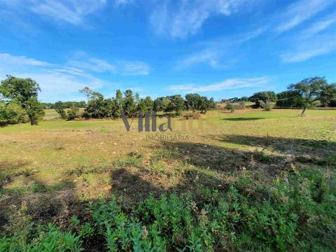 Terreno com 15.100 m², Moradia em Ruína e Viabilidade para Segunda Construção — A 5 min de Tomar
