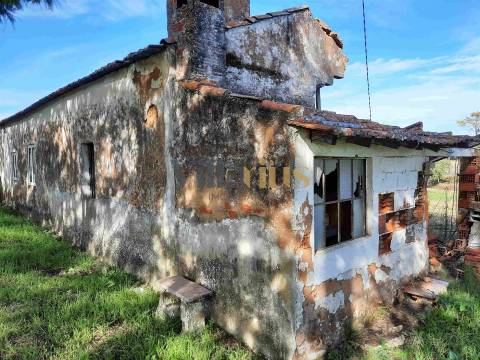 Terreno com 15.100 m², Moradia em Ruína e Viabilidade para Segunda Construção — A 5 min de Tomar