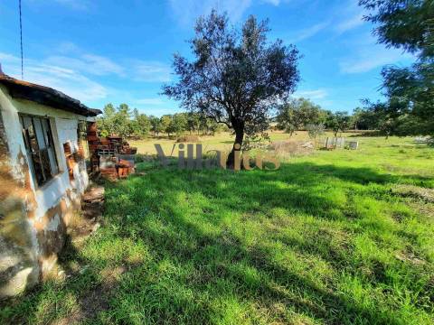 Terreno com 15.100 m², Moradia em Ruína e Viabilidade para Segunda Construção — A 5 min de Tomar