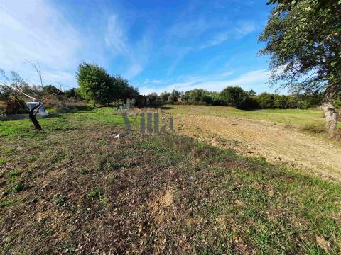 Terreno com 15.100 m², Moradia em Ruína e Viabilidade para Segunda Construção — A 5 min de Tomar