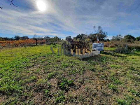 Terreno com 15.100 m², Moradia em Ruína e Viabilidade para Segunda Construção — A 5 min de Tomar