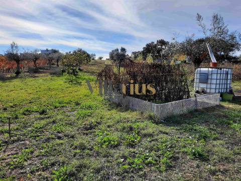 Terreno com 15.100 m², Moradia em Ruína e Viabilidade para Segunda Construção — A 5 min de Tomar
