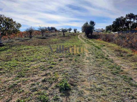 Terreno com 15.100 m², Moradia em Ruína e Viabilidade para Segunda Construção — A 5 min de Tomar