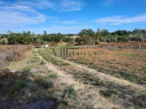 Terreno com 15.100 m², Moradia em Ruína e Viabilidade para Segunda Construção — A 5 min de Tomar