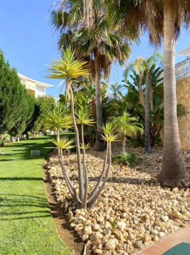 Soberba Penthouse com vista mar