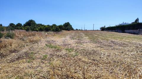 Terreno com Comunicação Prévia para Construção de 5 Moradias