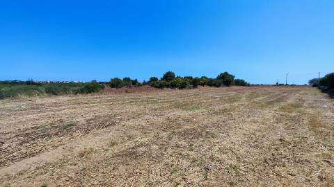 Terreno com Comunicação Prévia para Construção de 5 Moradias