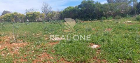 Terreno rústico com 4.555 m2 com armazém