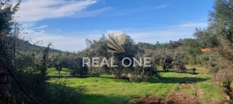 Terreno rústico com 4.555 m2 com armazém