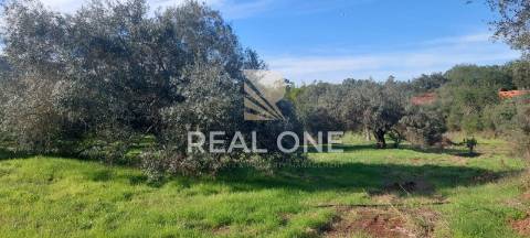 Terreno rústico com 4.555 m2 com armazém