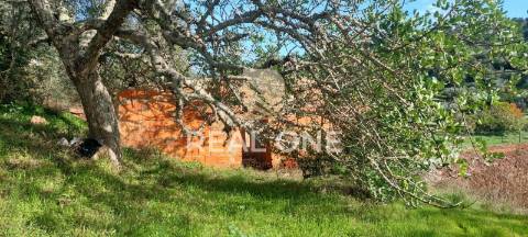 Terreno rústico com 4.555 m2 com armazém