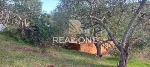 Terreno rústico com 4.555 m2 com armazém